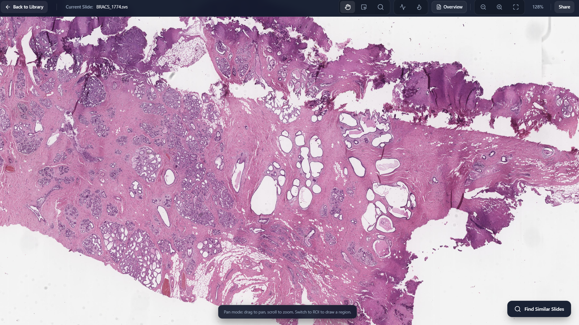 WSI Viewer screenshot