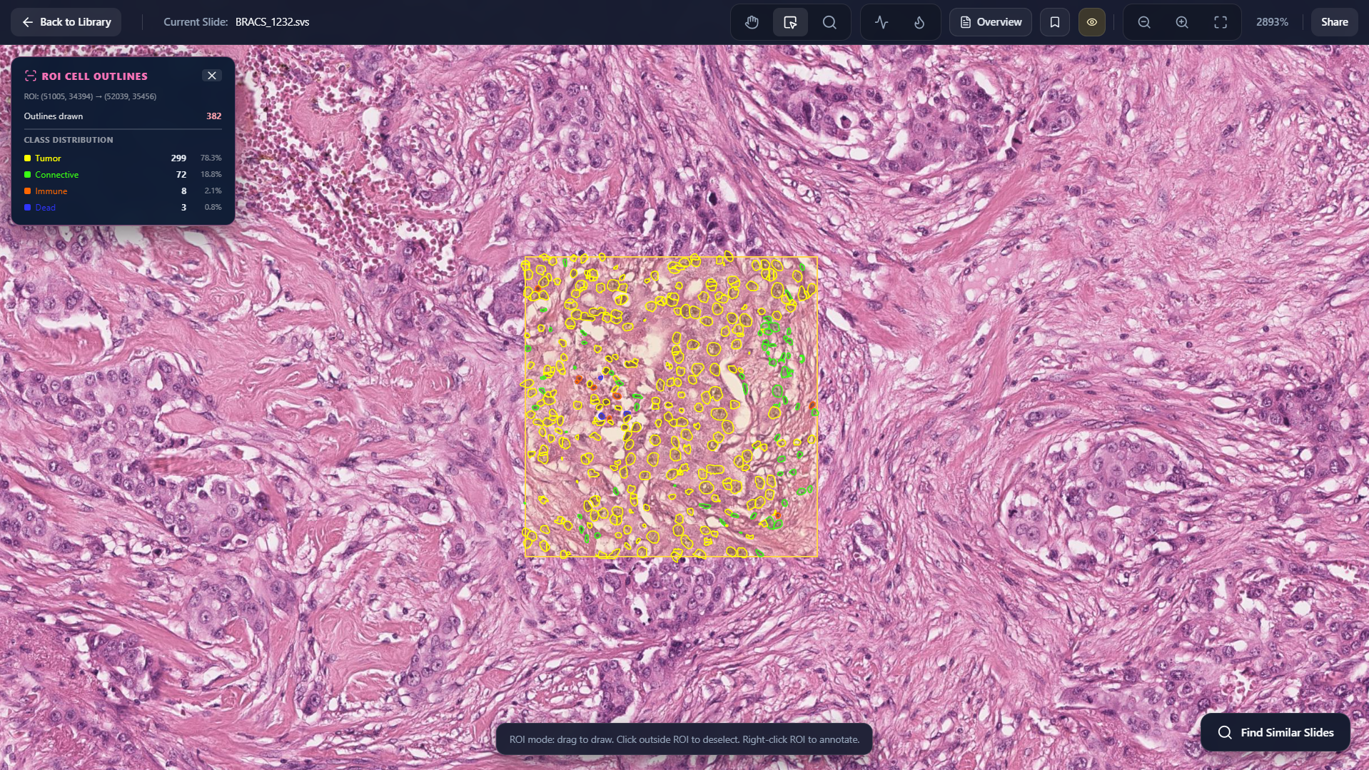 Cell Outlining screenshot