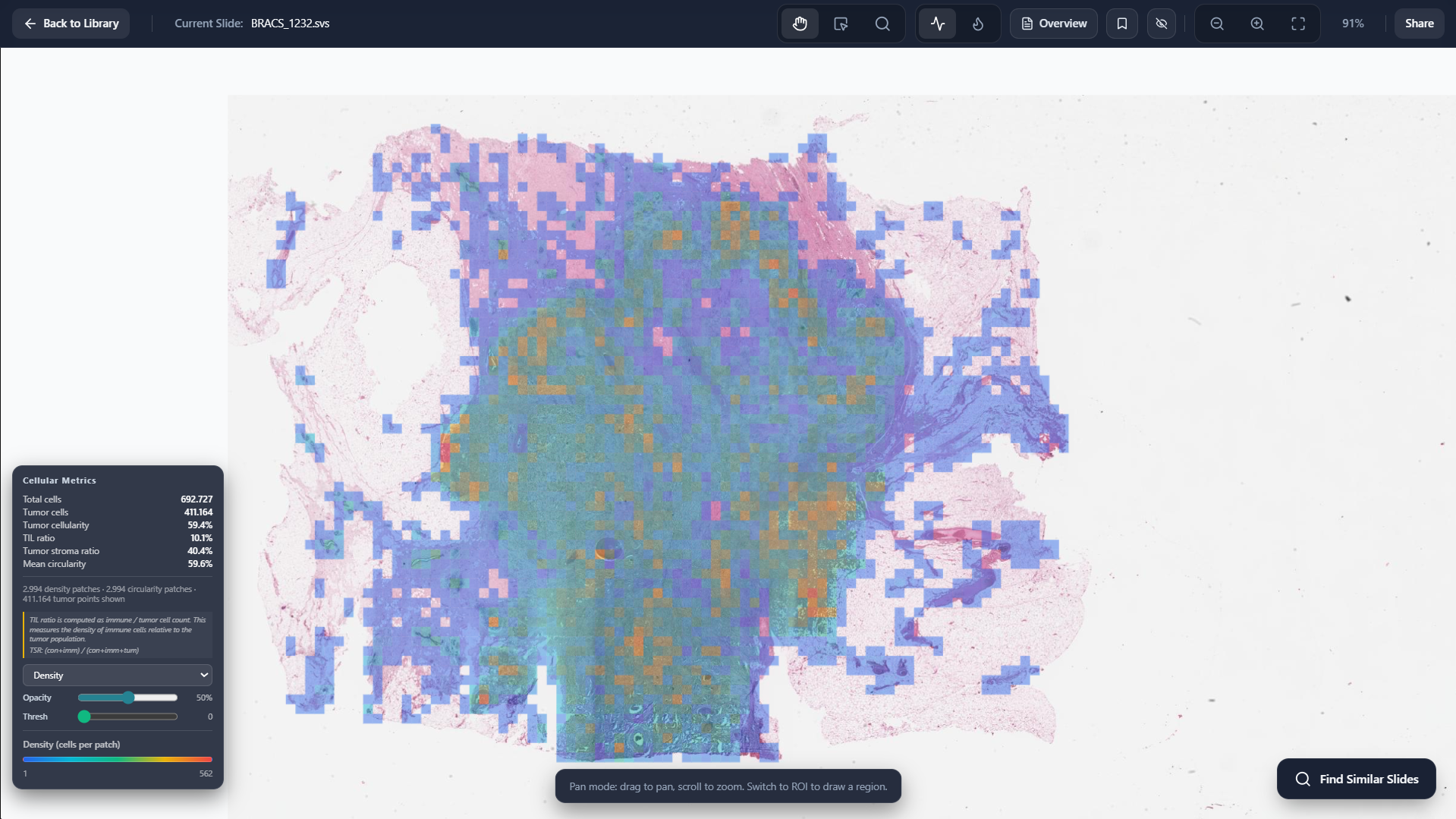 Slide Level Cellular Metrics screenshot