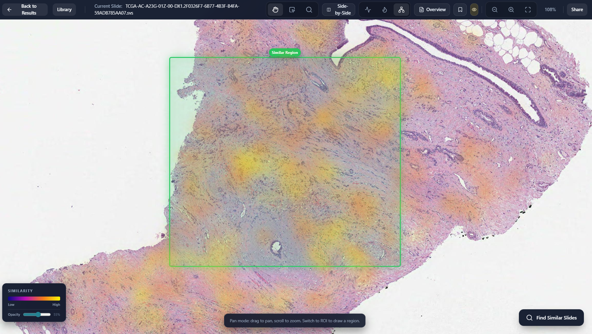 Display Retrieved Region screenshot